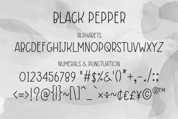 Black Pepper Font Poster 2