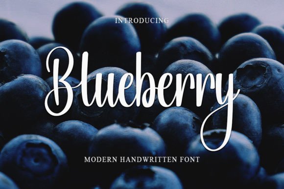 Blueberry Font Poster 1