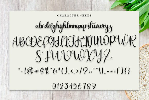 Boho Christmas Font Poster 5