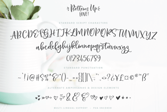 Bottoms Up Love Duo Font Poster 16