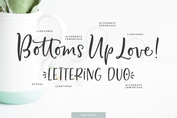 Bottoms Up Love Duo Font Poster 5