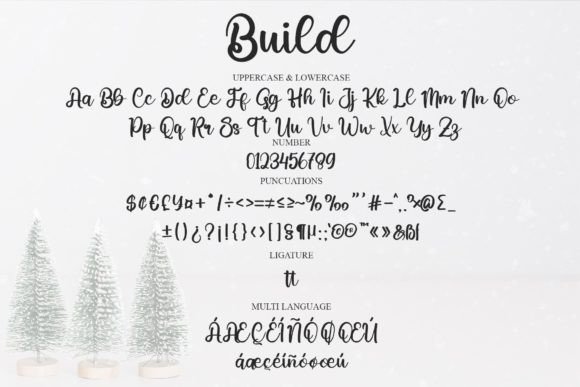 Build Font Poster 6