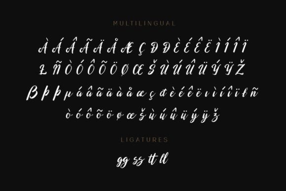 Bulgatten Font Poster 4