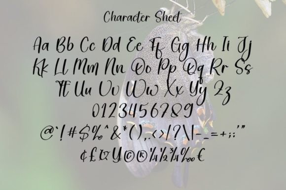 Butterfly Font Poster 4