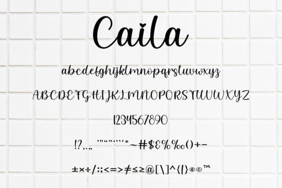 Caila Font Poster 5