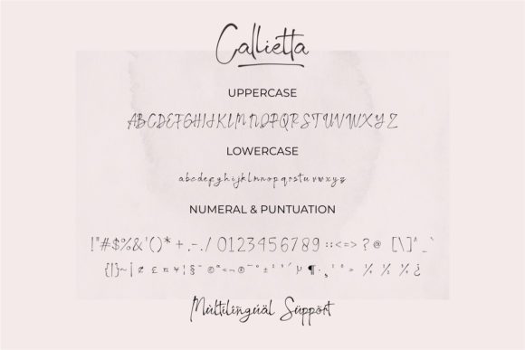 Callietta Font Poster 7