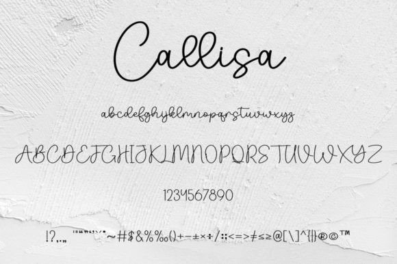 Callisa Font Poster 8