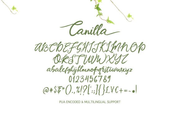 Canilla Font Poster 5