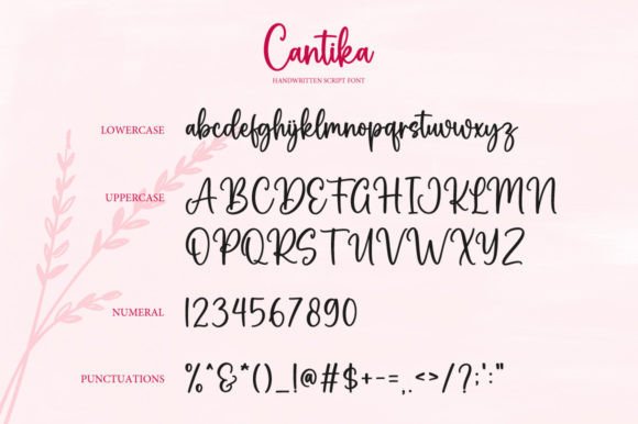 Cantika Font Poster 6