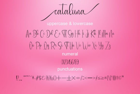 Cataluna Font Poster 5