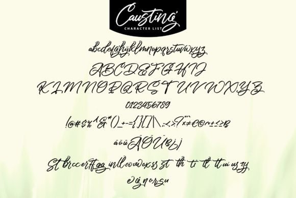 Causting Font Poster 5