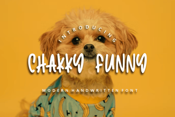 Chakky Funny Font Poster 2