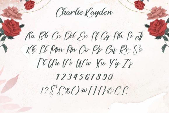 Charlie Kayden Font Poster 4