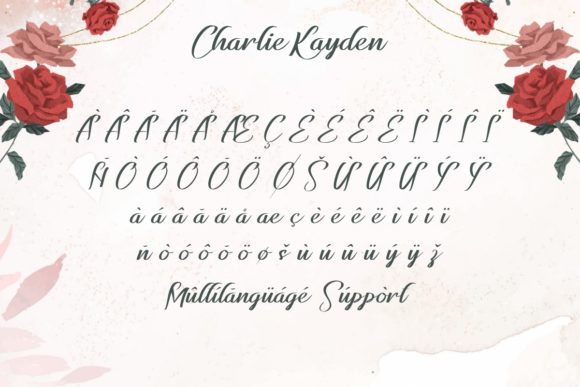 Charlie Kayden Font Poster 7