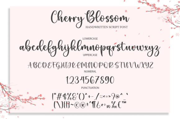 Cherry Blossom Font Poster 6