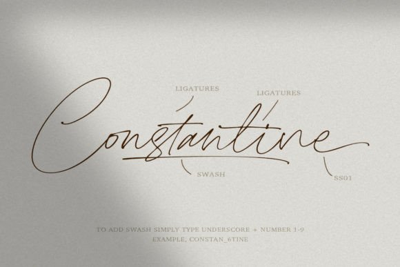 Clandestine Font Poster 8