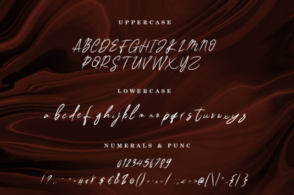 Classic Signature Font Poster 10