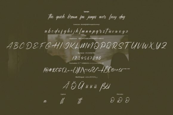 Domthere Font Poster 6