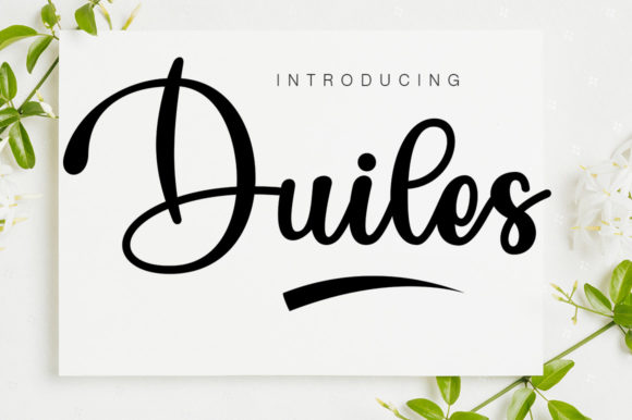 Duiles Font