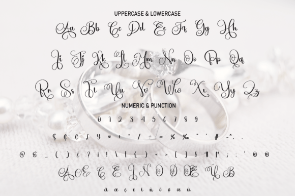 Earrings Font Poster 7