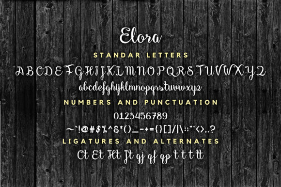 Elora Font Poster 8