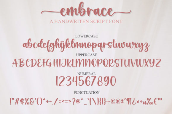 Embrace Font Poster 5