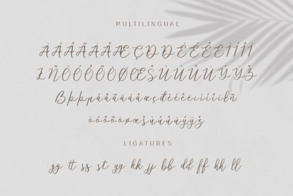 Enchanting Beauty Font Poster 9