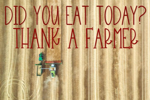Farm Made Font Poster 3