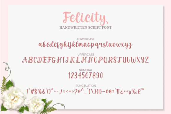 Felicity Font Poster 5