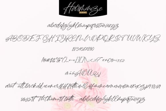 Harmonize Font Poster 5