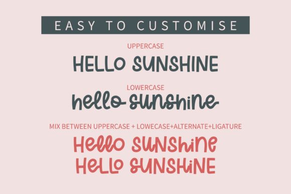 Hello Spring Font Poster 7