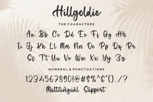 Hillgoldie Font Poster 8