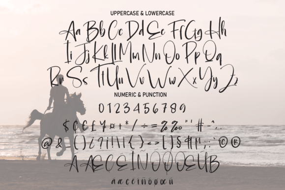 Hobbyhorse Font Poster 7