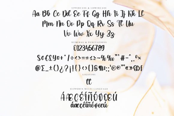 Insignia Font Poster 7