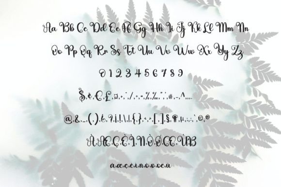 Janggly Font Poster 5