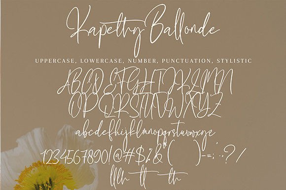 Kapethy Ballonde Font Poster 10