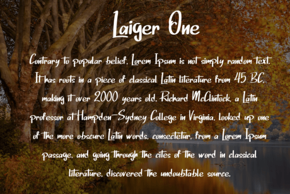 Laiger One Font Poster 4