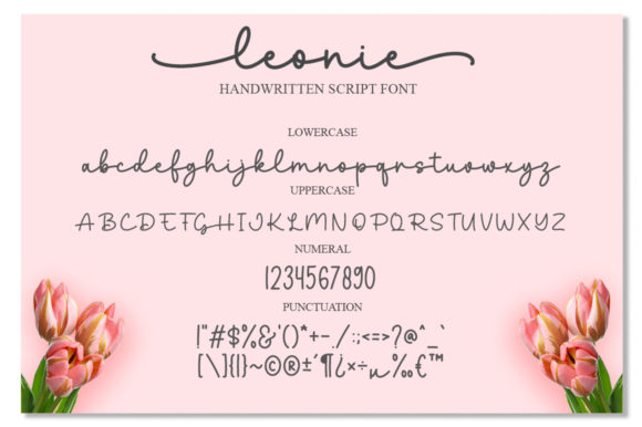 Leonie Font Poster 6