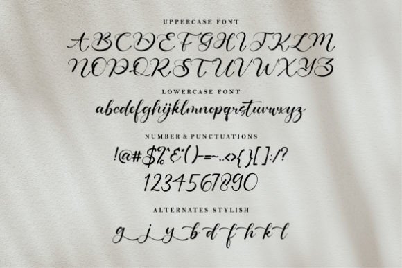 Magnefida Font Poster 8