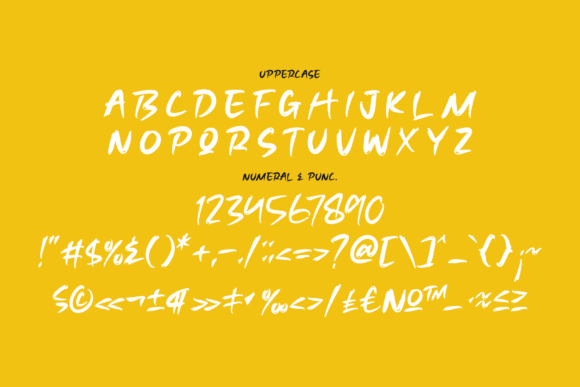 Magneon Font Poster 13