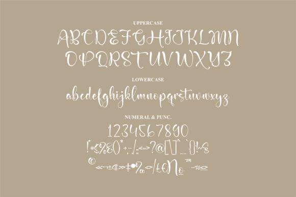 Mainches Cantika Font Poster 13