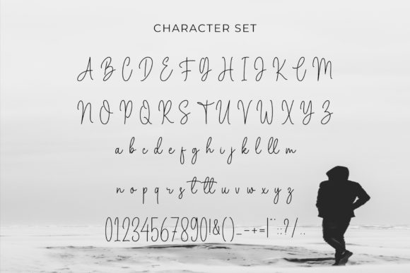 Marselin Signature Font Poster 5