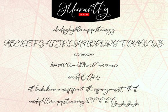 Meiranthy Font Poster 5