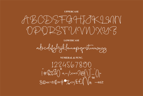 Miracle Bastian Font Poster 13