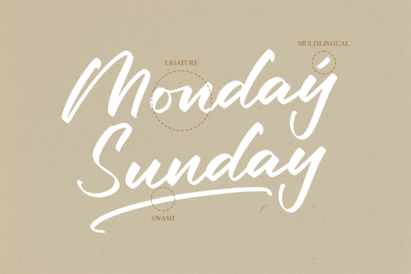 Mondaylisa Font Poster 12