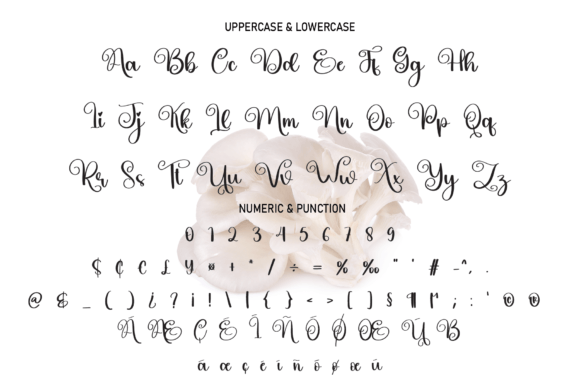 Mushroom Font Poster 7