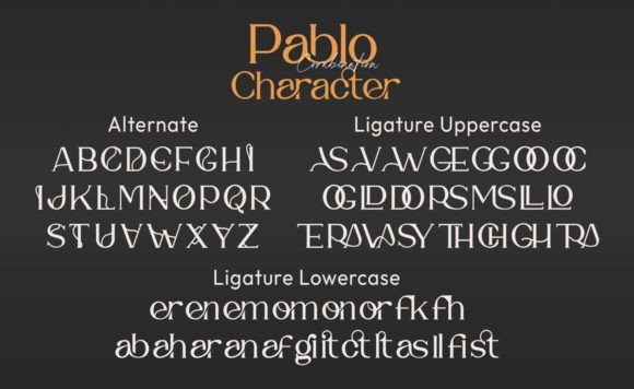 Pablo Duo Font Poster 7