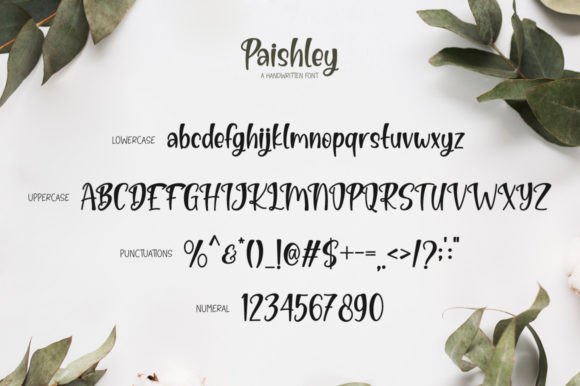 Paishley Font Poster 6