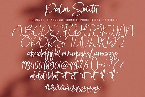 Palm Smith Font Poster 7