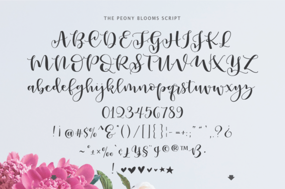 Peony Blooms Duo Font Poster 10